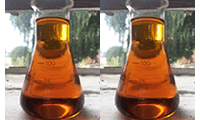 Fuel Sample